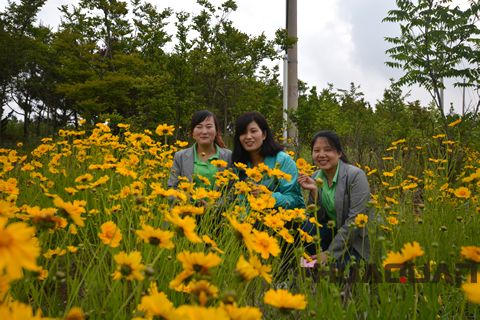 大乳山游記之一： 長江路，讓心情在這里“撒歡撂跤”