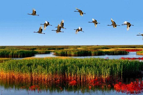 華全發(fā)電機(jī)：接地氣！大濰坊一言不合又?jǐn)€了個(gè)全省 