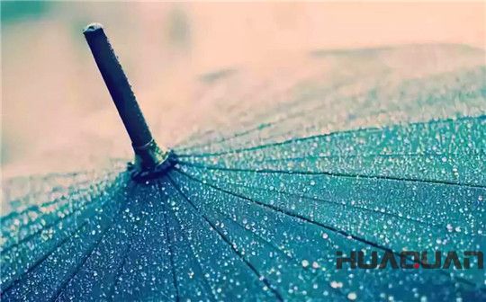 五月的雨，灑遍濰坊，鮮活了一座城，清新了城里的華全人