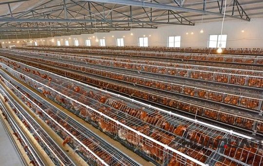 迎風(fēng)而上冒雨前行，華全發(fā)電機(jī)組用實(shí)際行動助力南京抵御臺風(fēng)侵襲