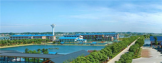 專業(yè)巡檢，熱心服務!華全發(fā)電機組助力養(yǎng)殖企業(yè)溫暖過冬!