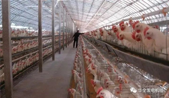 華全燃氣發(fā)電機組深受畜牧養(yǎng)殖業(yè)喜愛，竟是因為這！